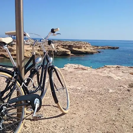 Norwegian Woods - Abedules El Campello